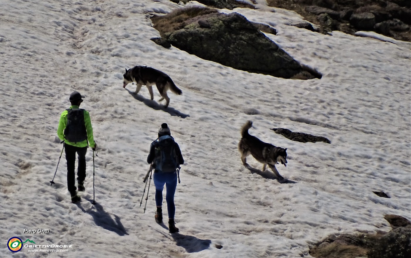 35 Sonia e figlio incontrano due cani husky .JPG